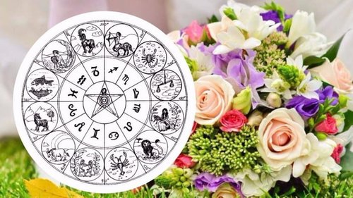 Астрологический презент: какие цветы и подарки предпочитают знаки зодиака