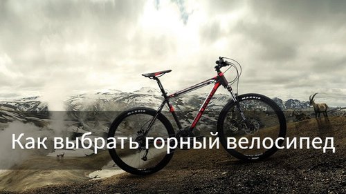 Как выбрать горный велосипед