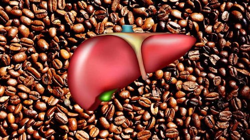 Риск развития заболеваний печени может снижать употребление кофе: результаты исследования