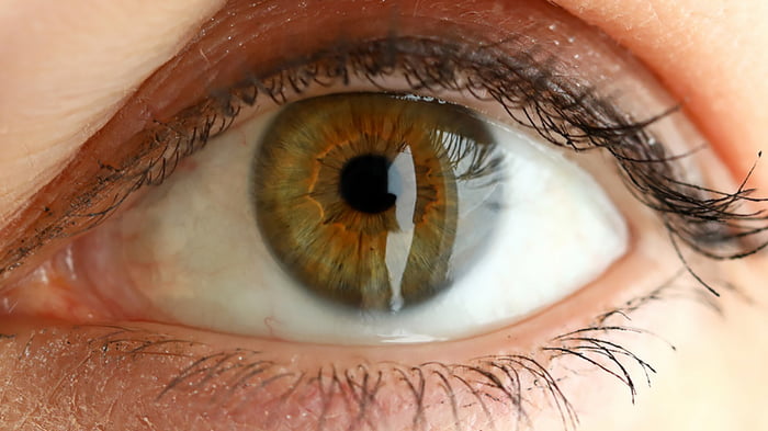 Цвет глаз может меняться в зависимости от ваших эмоций: что это значит?