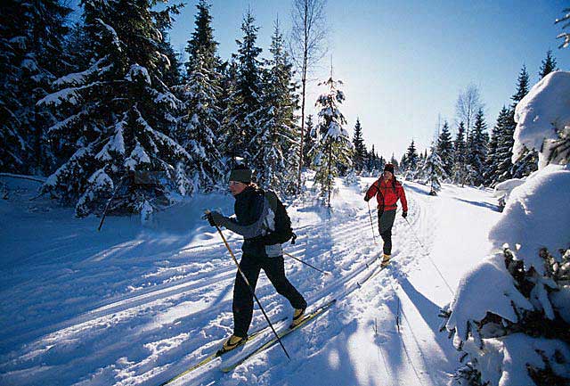 Лыжная ходьба как лечебная физкультура для спины