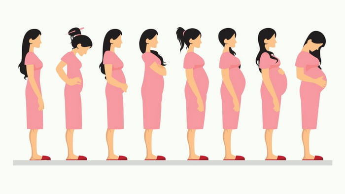 Беременность: диагностика и признаки беременности