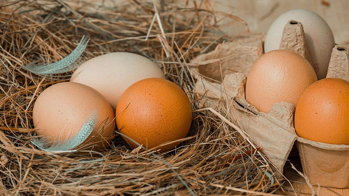 Как определить свежесть яиц: простой 5-секундный тест в домашних условиях