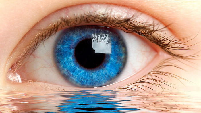 4 способа помогут исцелить сухость глаз