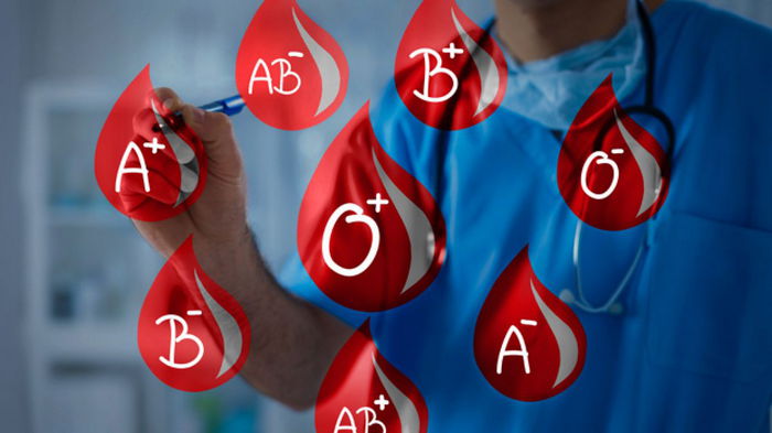 Как связано питание и группа крови
