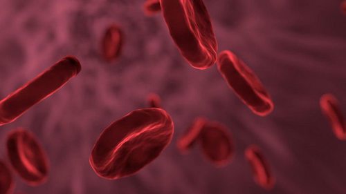 Интересные факты о вашей группе крови