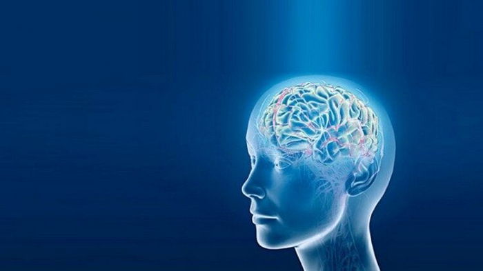 5 привычек вызывающих повреждения мозга