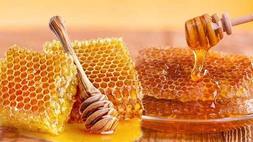 Разнообразие продуктов пчеловодства