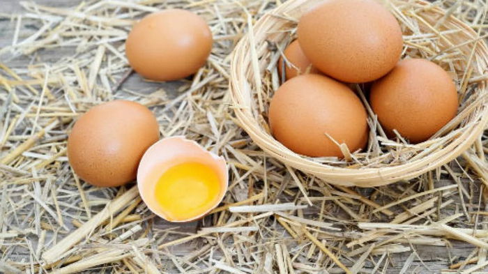 Простые способы проверить свежесть яиц