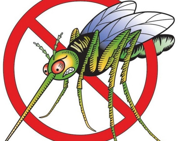 ​Как выбрать эффективное средство от комаров?