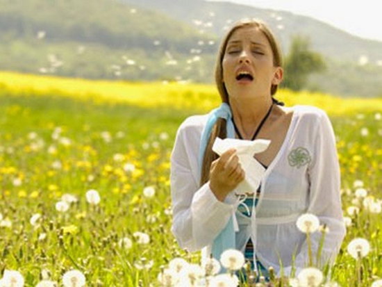 Аллергия на пыльцу – симптомы и лечение