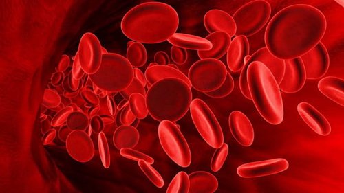 Железо в крови: последствия избытка железа в организме