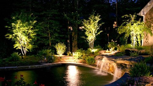 Подсветка и освещение деревьев в саду: важные моменты