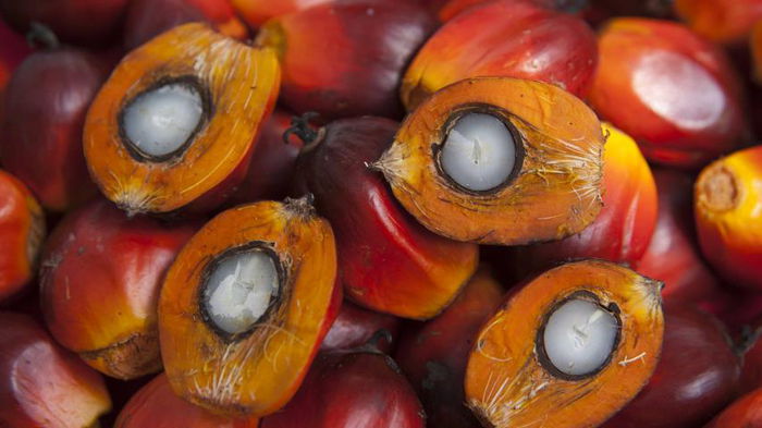 Вредно ли пальмовое масло для здоровья?