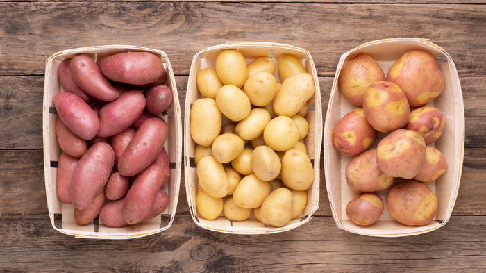 Как обновить сорт картофеля: 5 способов