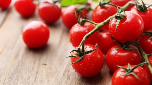 Как выращивать помидоры черри: 5 отличий в уходе