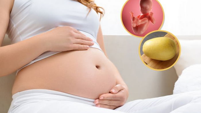 Можно ли лежать на животе во время беременности?