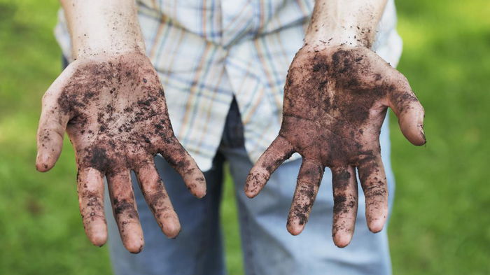Как быстро очистить ногти после огорода: 9 способов спасти руки