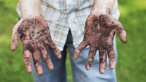 Как быстро очистить ногти после огорода: 9 способов спасти руки