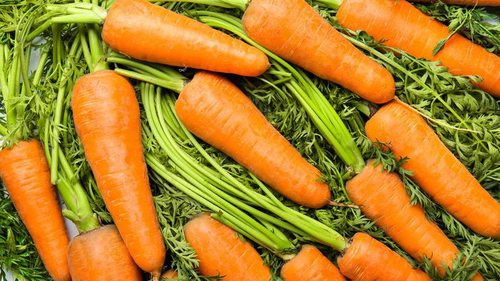 Если морковь растет червивая: 6 способов спасти урожай