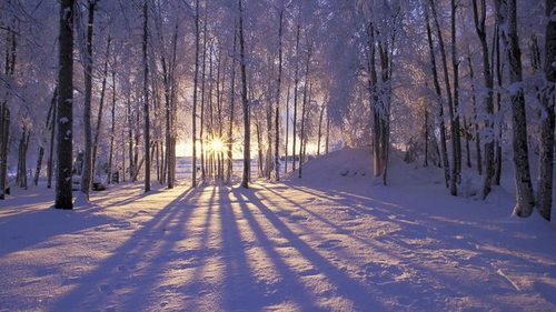 Праздник 1 декабря: чем особенный первый день зимы, что сегодня нельзя...