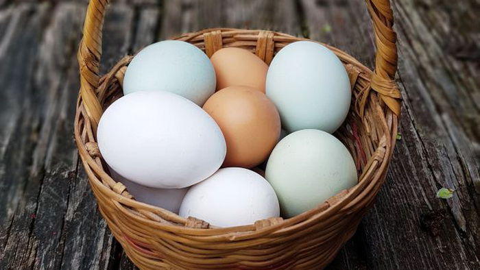 Домашние яйца или фабричные? Чем они отличаются и какие лучше