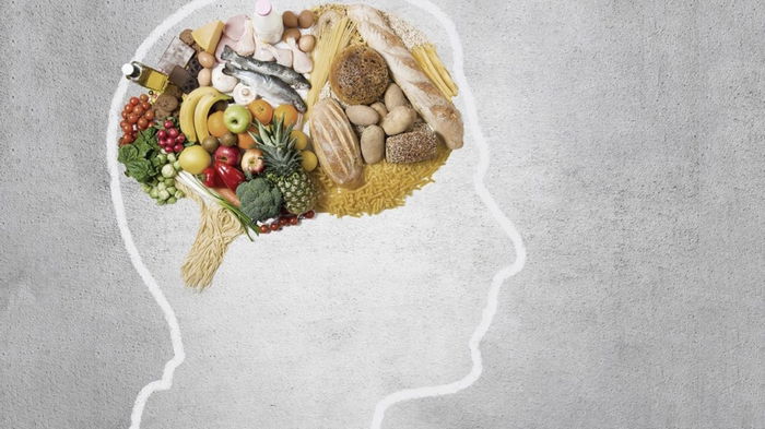 Как пища влияет на мозг