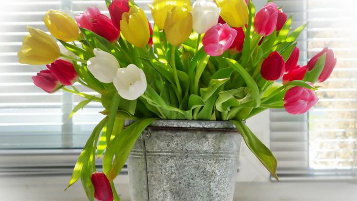 Цветы-долгожители в вазах: какие простоят дольше
