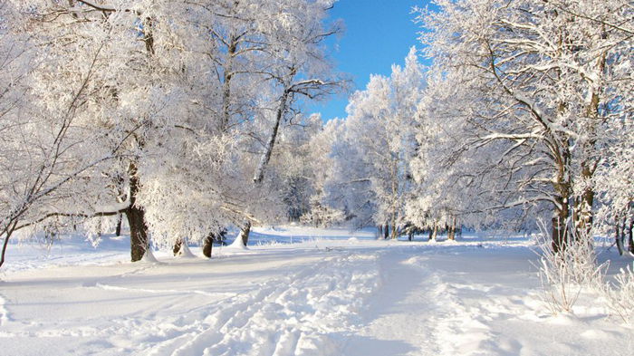 Праздник 25 февраля: чем особенный этот день зимы, что сегодня нельзя делать