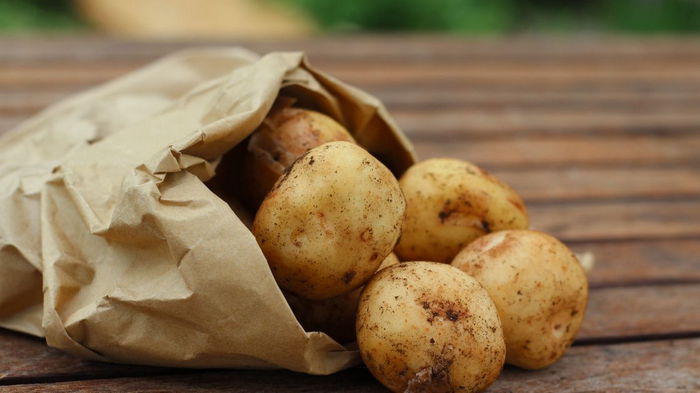 Опасно ядовитая: какую картошку категорически нельзя есть