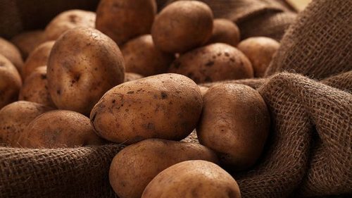 Как остановить прорастание картофеля в конце зимы: важные правила хранения овоща