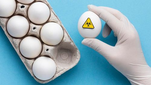 Яйца и холестерин: эксперт объяснил, какое количество этого продукта б...