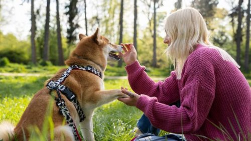 Смертельная опасность для собак: чем нельзя кормить своих любимцев