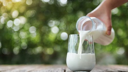 Нутрициолог развенчала главный миф о молоке и сообщила, кому его пить нельзя