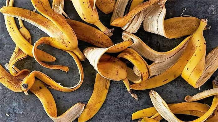 Банановая кожура, как удобрение: средство, которое творит чудеса
