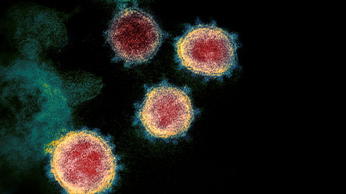 9 самых популярных мифов о коронавирусе
