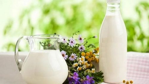 Полейте эти растения молоком: урожай будете собирать ящиками