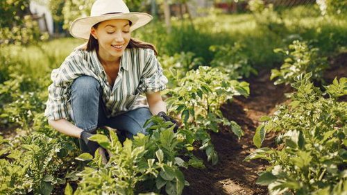 Вот что категорически нельзя делать на грядках и в саду: важные правила для огородников