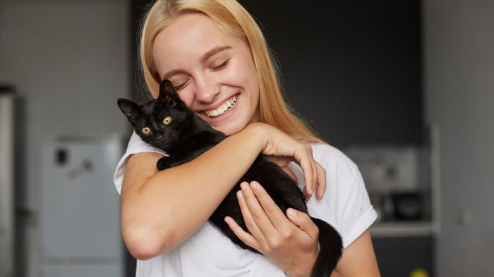 Шесть причин завести в доме кота, чтобы забыть о стрессе и болезнях: медики рекомендуют
