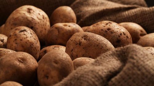 Что нужно делать, чтобы картофель не прорастал в погребе: поможет мале...