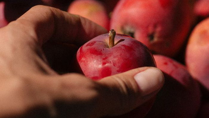 Самый необычный способ хранения яблок, с помощью которого они пролежат месяцами