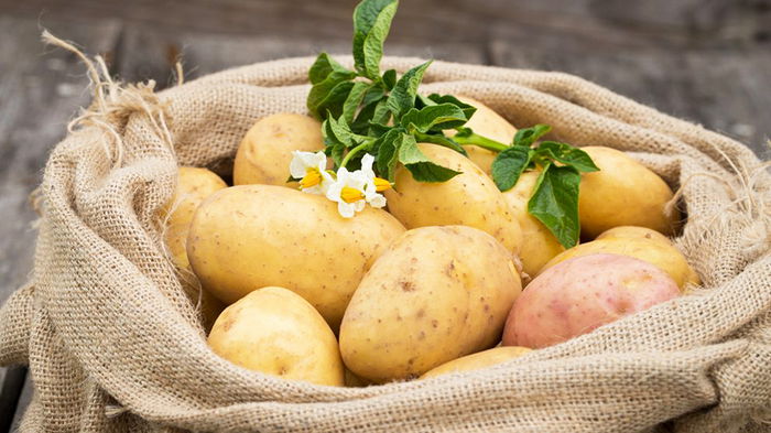 Как правильно хранить картофель в домашних условиях: сохраните его свежесть
