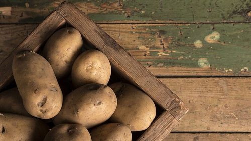 Почему стоит покупать картофель оптом от производителя