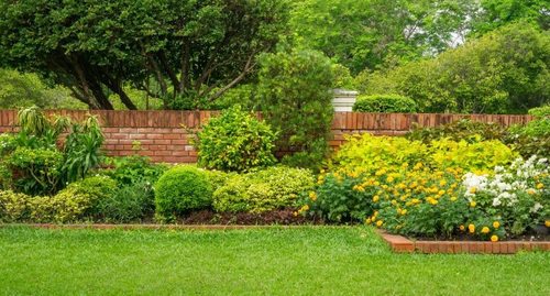 Как сажать кустарники: 4 распространенные ошибки садоводов