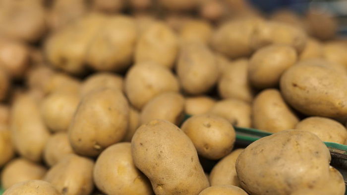 Как хранить картофель в погребе, чтобы он не гнил: полезный лайфхак