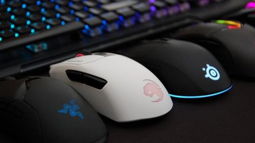 Как выбрать компьютерную мышь: виды и особенности