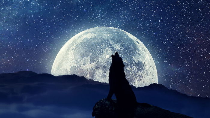 Волчья Луна: не пропустите первое полнолуние 2024 года