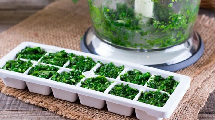 Как хранить свежую зелень в холодильнике