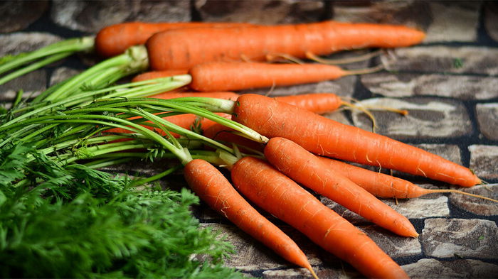 Семена прорастут равномерно и быстро: уникальный метод высевания моркови с киселем