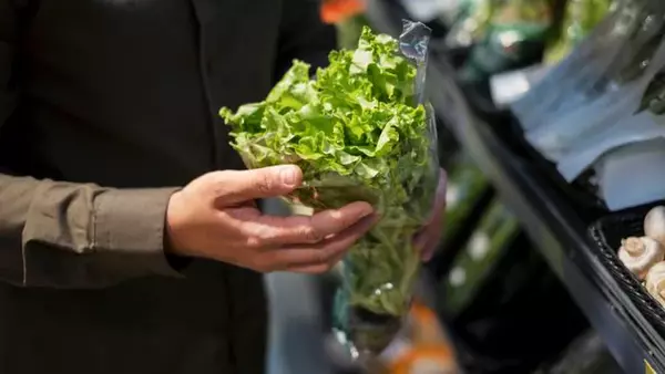 Нужно ли мыть салат из герметичной упаковки: точный ответ